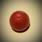 Miel