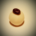 Nipple of Venus