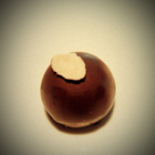 Olive & Almond