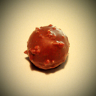 Rocher