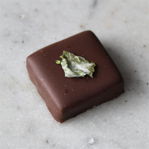 Montana Mint