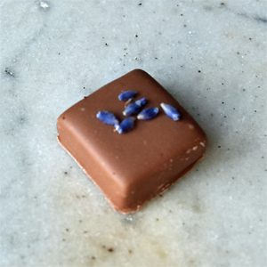 Provençal Lavender